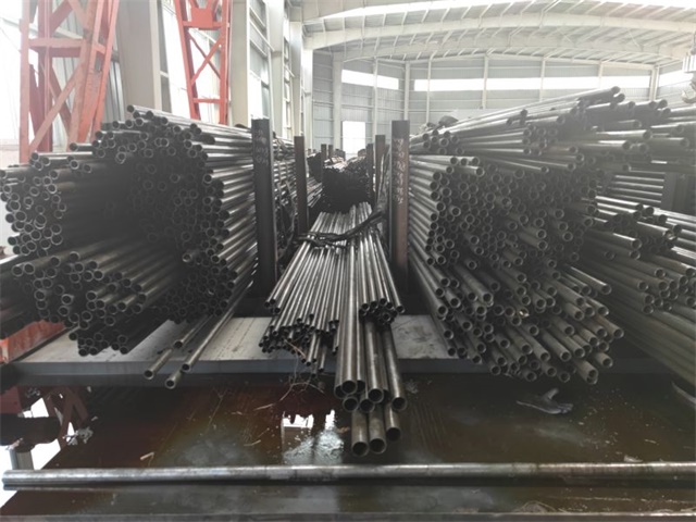 IMG_20230401_141212.jpg IMG_20230401_141212.jpg