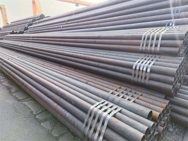 IMG_20230401_160559.jpg IMG_20230401_160559.jpg